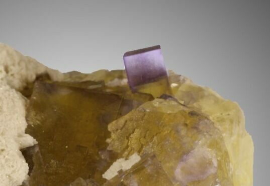 Sharp Purple on Yellow Cubic Fluorite - Cave-in-Rock, Illinois #32198